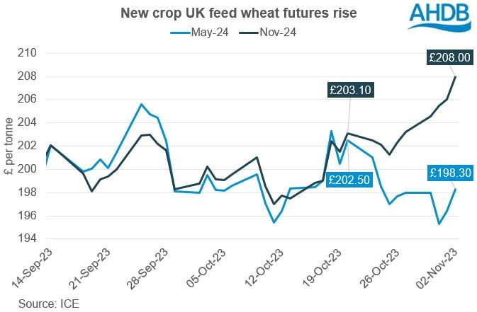 Graph showing the rise in Nov-24 UK feed wheat futures from 20 October to 2 November